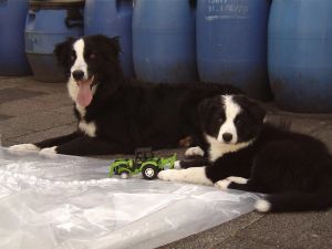 300BenBravery01 066.jpg